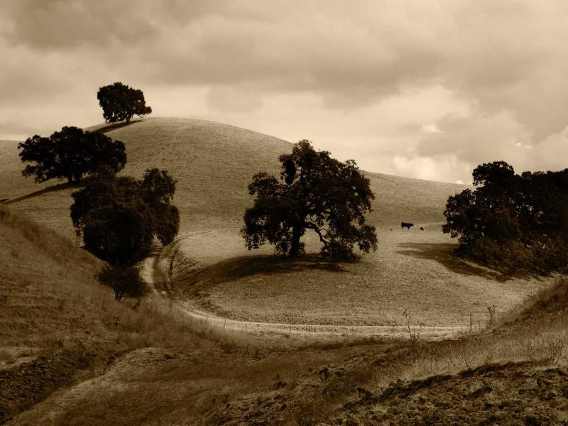 sudoku solving methods