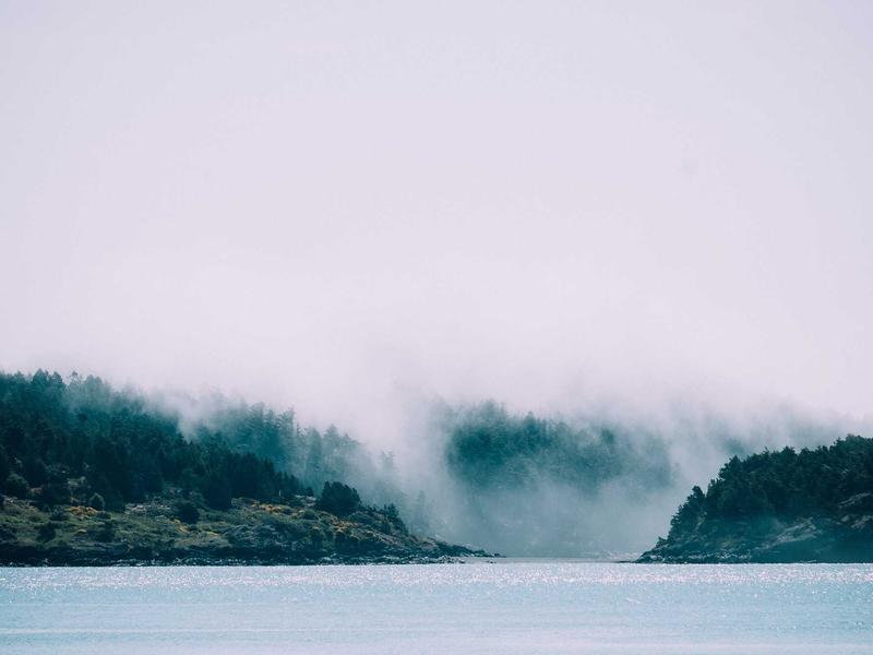 sudoku brain exercise