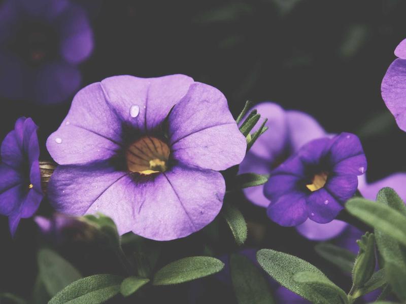 sudoku solving methods screenshot 5