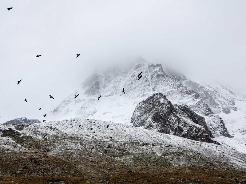 sudoku multiplayer mode screenshot 5